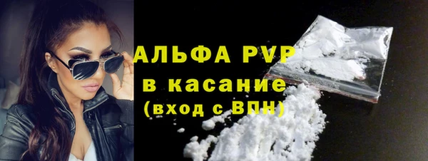 индика Алексин