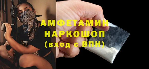 индика Алексин