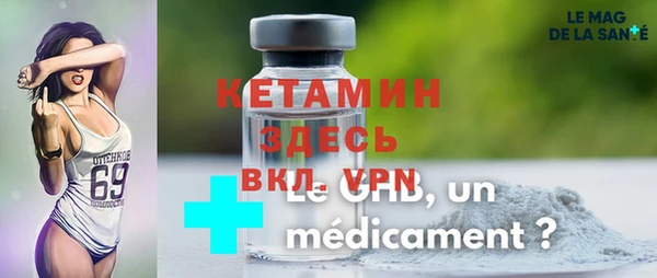 индика Алексин