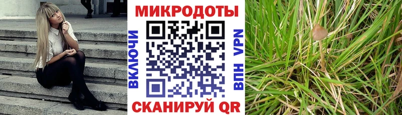 магазин продажи   мориарти телеграм  Псилоцибиновые грибы Psilocybe  Москва 